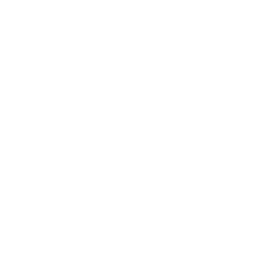 Ibis