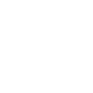 Ibis